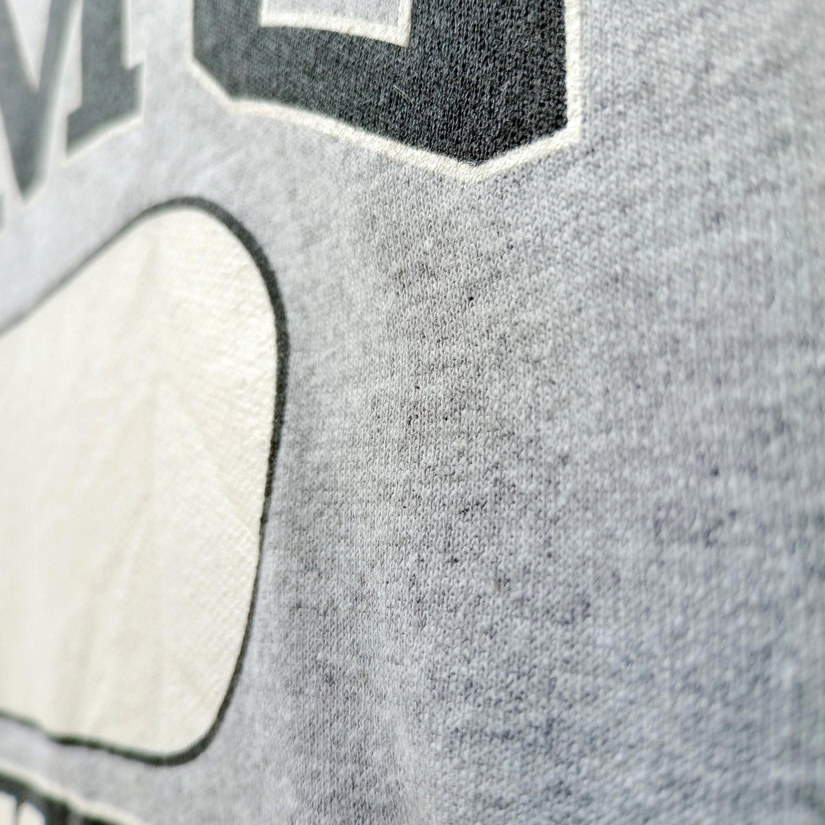 Gildan Gray Grey Graphic Print Jersey Hoodie Men's UK Size S CMS PHYS. ED. Fleece Lined